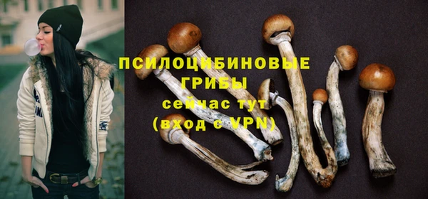 синтетический гашиш Алексин
